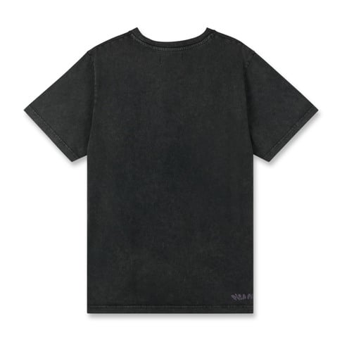 PICA PICA - PICA GOES SKIING